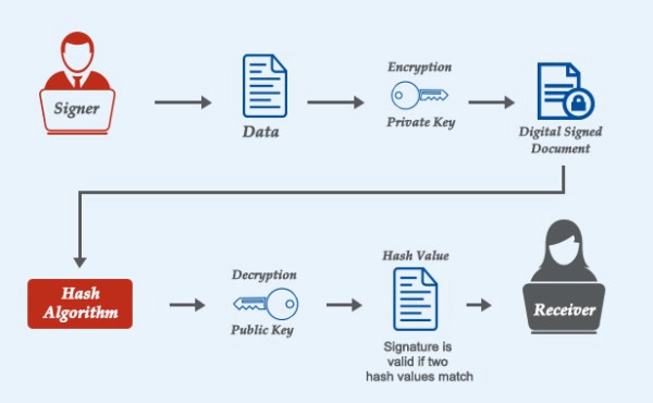 Trust in Smart Contracts